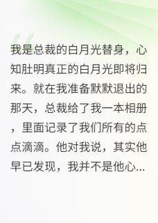 总裁的白月光，我发现他认错了人by何润方婷在线阅读-随缘阅读网