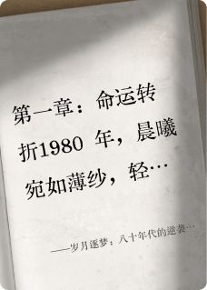 岁月逐梦：八十年代的逆袭人生完整版免费阅读，林晓苏然小说大结局在哪看-随缘阅读网