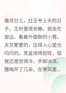 优质新书王爷追妻火葬场，王妃她改嫁了最新章节小说全文阅读
