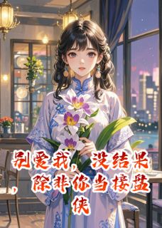 老书虫力荐别爱我，没结果，除非你当接盘侠免费无弹窗阅读-随缘阅读网