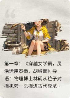正版小说在古代巧妙运用现代技术林砚赵珩在线免费阅读