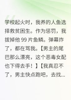 在黎明捡到一颗星在线阅读 薄继黎星林梨免费小说精彩章节