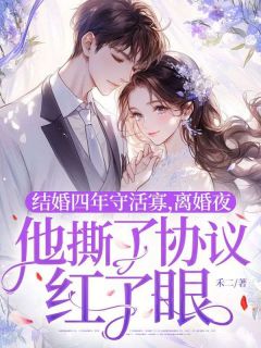 新上结婚四年守活寡，离婚夜他撕了协议红了眼禾二小说免费阅读