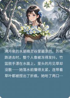 阿西尔苏晚琥珀是哪部小说的主角 阿西尔苏晚琥珀全文阅读