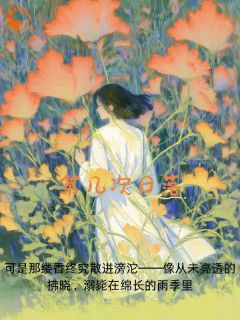 全章节小说赌他爱我，结果输得一塌糊涂初夏堂最新阅读