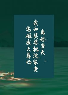 我和婆婆把老宅砸成火葬场(宋栀沈知涯江梨)全文完整版阅读