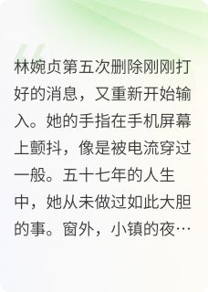 暮色之约林姨篇小说在线阅读，主角林婉贞周志远精彩段落最新篇