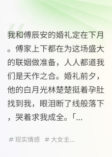 【白月光挺孕肚抢婚，我转头承家业】主角(傅斯砚傅辰安林楚楚)在线阅读