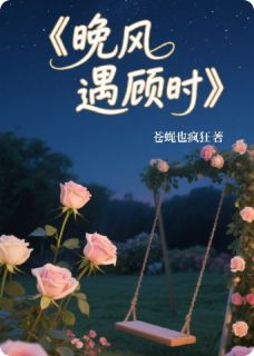（全本）晚风遇顾时主角顾衍林晚卿周明轩全文目录畅读