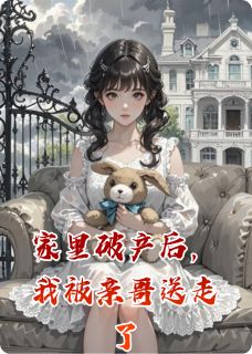 家里破产后，我被亲哥送走了[抖音]小说-沈以安雨水无删减阅读