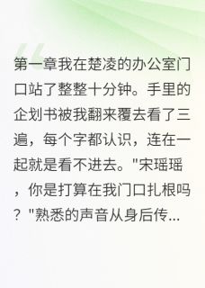 上司和初恋长一张脸小说免费阅读 韩墨楚凌大结局完整版