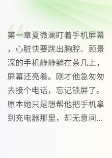 老公小号里的秘密小说(连载文)-夏微澜顾景深林清雅无广告阅读