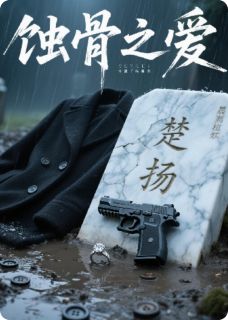 蚀骨之爱:错误的开端完整版-林实岑衍楚扬在线全文阅读