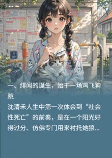 沈清禾陆时是哪部小说的主角 阿姨们，我们真的在谈了！全文无弹窗