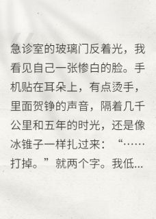 带球跑后大佬他悔疯了[抖音]小说-满满贺铮无删减阅读