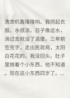 独家离婚带球跑，球他爹追来了小说-主角龙龙程屿全文免费阅读