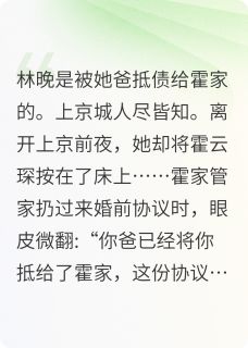 主角是林晚霍云琛的小说协议婚姻后她跑了最完整版热门连载