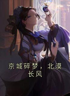 新上京城碎梦，北漠长风春看江南雨小说免费阅读