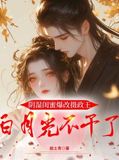 苏念傅北宸是哪部小说的主角 苏念傅北宸全文阅读
