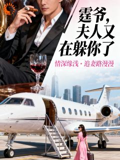 霆爷夫人又在躲你了小说在线阅读，主角沐小小陆震霆精彩段落最新篇