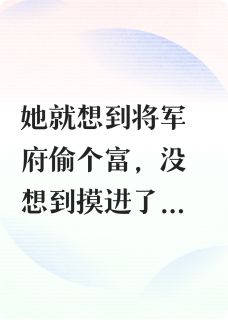 全章节小说半夜偶遇将军飞钗最新阅读