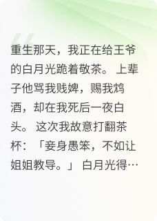 替身弃妃不想演萧玦苏婉婉小说全文-替身弃妃不想演小说
