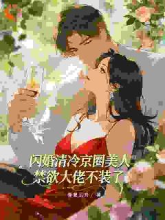 说好互不干涉，他却宠疯了免费阅读全文，主角王以宁商政霖小说完整版