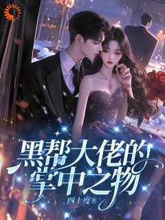 黑帮大佬的掌中之物by四十度小说完结版在线阅读