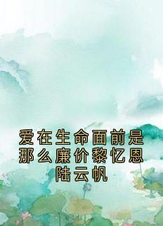 免费试读主角黎忆恩陆云帆小说