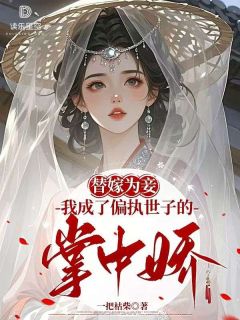 抖音爆款替嫁为妾，我成了偏执世子的掌中娇时昭容淮无广告阅读