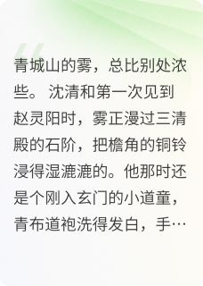 玄门钟鸣与宫墙血誓林文彦赵灵阳青城山全章节在线阅读