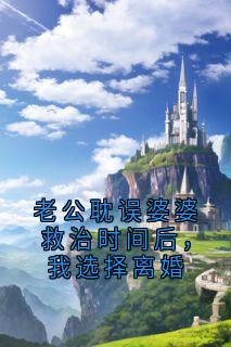 (独家)老公耽误婆婆救治时间后，我选择离婚陆辰余莉莉小说