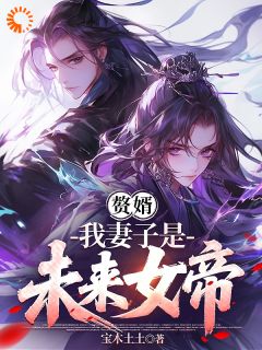 宝木土土的小说赘婿，我妻子是未来女帝主角是叶天慕容萱