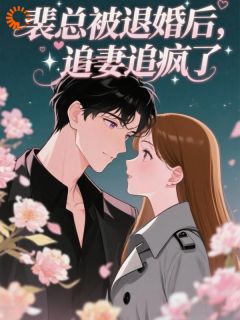 热门小说裴总被退婚后，追妻追疯了完整版全文阅读