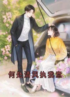 叶与微程景辞全集小说_何处清风执我意完结版阅读