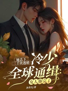 她丢下三千块逃婚，冷少全球通缉：女人你完了小说在线阅读，主角冷轩睿秦凡卉精彩段落最新篇