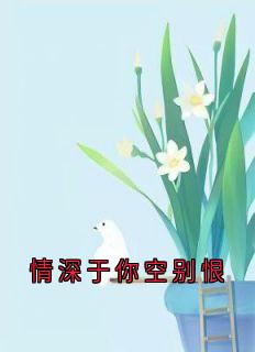 沈星洛顾宴礼小说无广告阅读