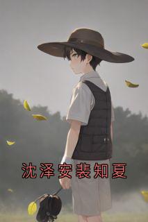主角是裴知夏沈泽安的小说-沈泽安裴知夏完整章节阅读