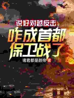 抖音苏墨宋川宇小说叫什么名字
