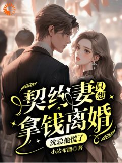 最完整版契约妻只想拿钱离婚，沈总他慌了热门连载小说