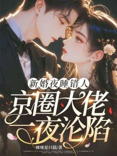 新婚夜睡错人，京圈大佬一夜沦陷(全章节)-司情江浩程季之礼在线阅读