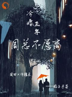 无广告小说联姻对象回国后，不离婚了​​-许穗禾周回在线阅读
