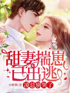 柳禾凌司呈小说无广告阅读