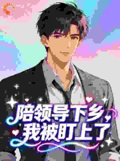 陪领导下乡，我被盯上了​​(新书)大结局在线阅读