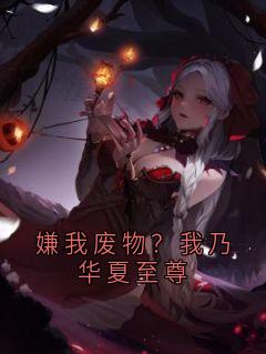 嫌我废物？我乃华夏至尊叶辰叶火火大结局小说全章节阅读
