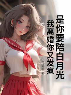 值得熬夜看完的是你要陪白月光，我离婚你又发疯小说阅读