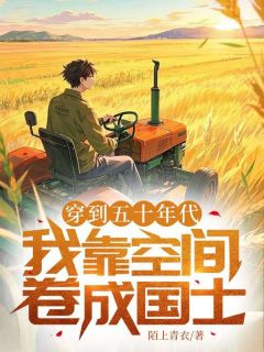 许进和雨露小说穿到五十年代，我靠空间卷成国士免费阅读