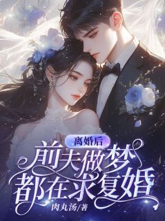 离婚后，前夫做梦都在求复婚by肉丸汤(秦芷漓盛淮安)未删节免费阅读