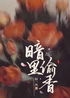 主人公宋言姿沈亦驰在线免费试读暗里偷香最新章节列表