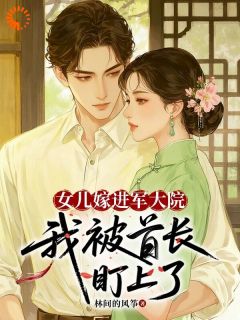 林婉贞严旻小说女儿嫁进军大院，我被首长盯上了完整章节
